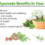 The Benefits of Practicing Ayurveda The Benefits of Practicing Ayurveda
