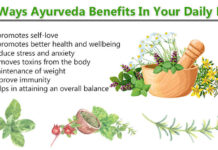 The Benefits of Practicing Ayurveda The Benefits of Practicing Ayurveda
