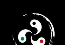 Triskel VPN – A tool for online privacy and safe internet navigation Triskel VPN