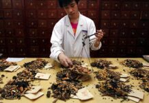 Why Chinese Medicine is Heading For Clinics Around the World Why Chinese Medicine is Heading For Clinics Around the World