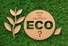 How Can We Protect Ecology? How Can We Protect Ecology?