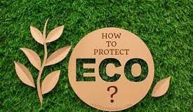 How Can We Protect Ecology? How Can We Protect Ecology?