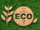 How Can We Protect Ecology? How Can We Protect Ecology?