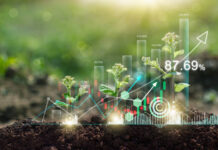 How to Market Your Eco-Friendly Business Effectively How to Market Your Eco-Friendly Business Effectively