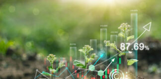 How to Market Your Eco-Friendly Business Effectively