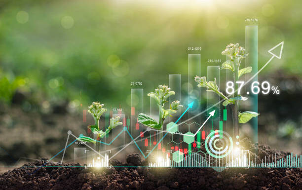 How to Market Your Eco-Friendly Business Effectively How to Market Your Eco-Friendly Business Effectively