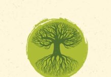 You’ve Heard of Permaculture But What the Heck Is It? You've Heard of Permaculture But What the Heck Is It?