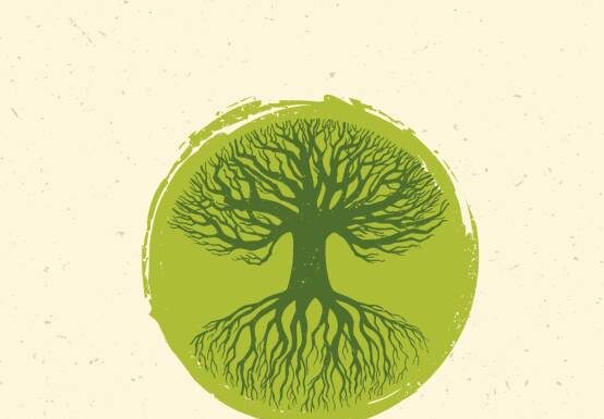 You’ve Heard of Permaculture But What the Heck Is It? You've Heard of Permaculture But What the Heck Is It?