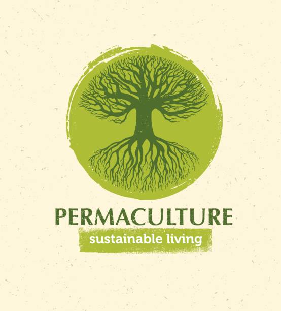 You've Heard of Permaculture But What the Heck Is It?