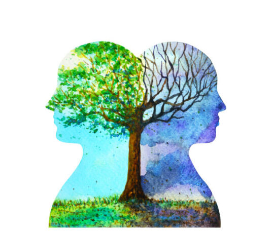 Mindfulness and Inner Growth Mindfulness and Inner Growth