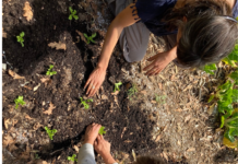 Meet your food: Fillas da Terra – A vision of unity in Galicia, Spain Fillas da Terra Manos a la Tierra