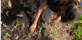 Meet your food: Fillas da Terra – A vision of unity in Galicia, Spain Fillas da Terra Manos a la Tierra