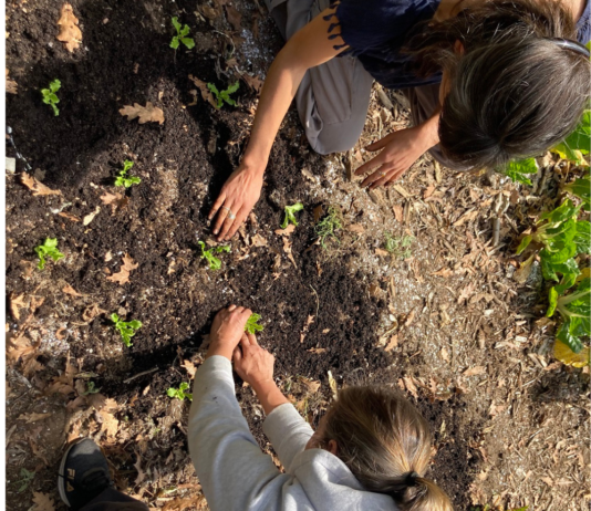 Meet your food: Fillas da Terra – A vision of unity in Galicia, Spain Fillas da Terra Manos a la Tierra