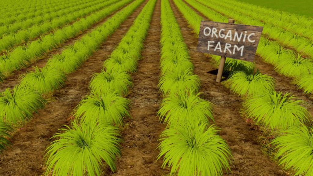 Explanation of Pure organic farming