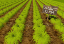 Explanation of Pure organic farming Explanation of Pure organic farming