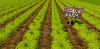 Explanation of Pure organic farming Explanation of Pure organic farming