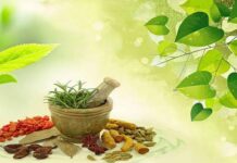 What Is Ayurveda? Explain Completely 2023 What Is Ayurveda?