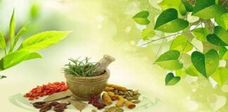 What Is Ayurveda?