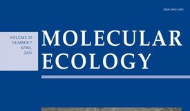 What is Molecular Ecology? Molecular Ecology