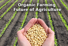 What is organic farming? organic farming