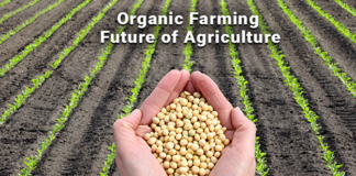 What is organic farming? organic farming
