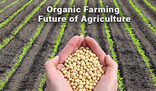 What is organic farming? organic farming