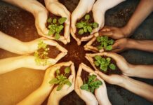 What is Nature Connection? Nature Connection