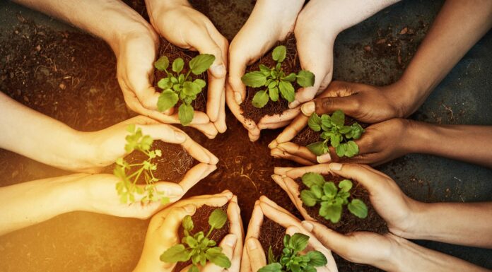 What is Nature Connection? Nature Connection