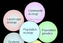 Details of population ecology