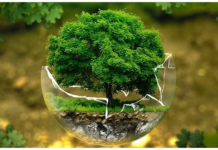 How many Types of Ecology? Types of Ecology