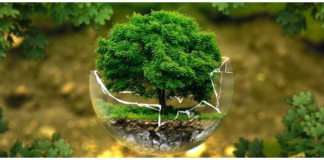 How many Types of Ecology? Types of Ecology