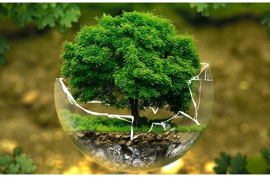 How many Types of Ecology? Types of Ecology