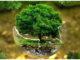 How many Types of Ecology? Types of Ecology