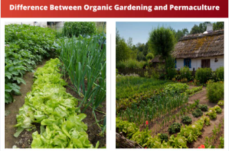 natural cultivating and permaculture