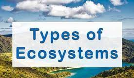 What are the main types of the ecosystem? types of the ecosystem