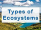 What are the main types of the ecosystem? types of the ecosystem