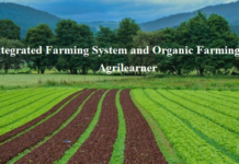 What is Integrated organic farming? What is Integrated organic farming?