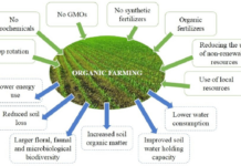 What are the four pillars of organic farming? What are the four pillars of organic farming?