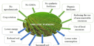 What are the four pillars of organic farming? What are the four pillars of organic farming?