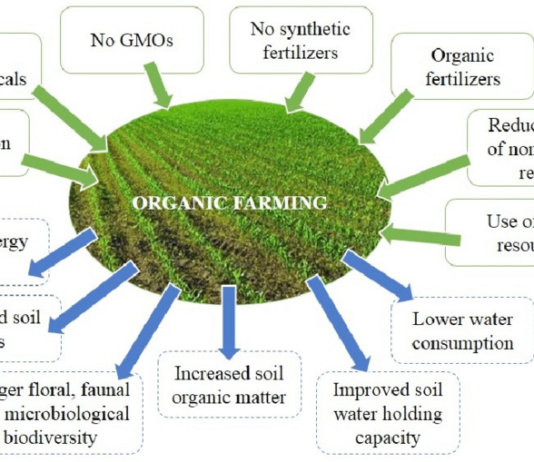 What are the four pillars of organic farming? What are the four pillars of organic farming?
