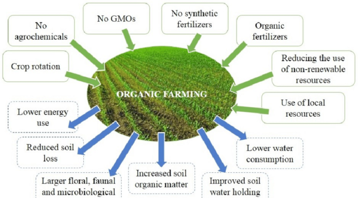 What are the four pillars of organic farming? What are the four pillars of organic farming?
