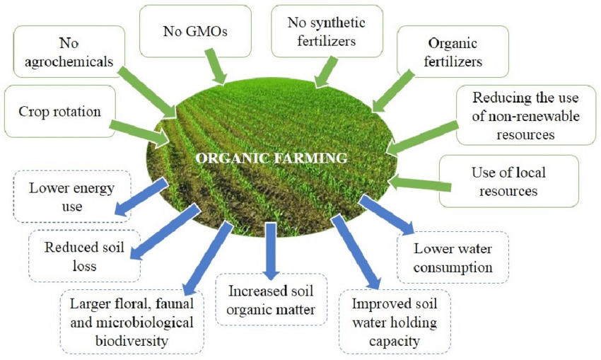What are the four pillars of organic farming?