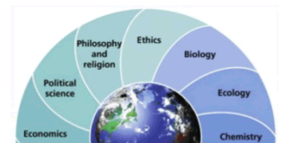 What is the main concept of ecology? concept of ecology