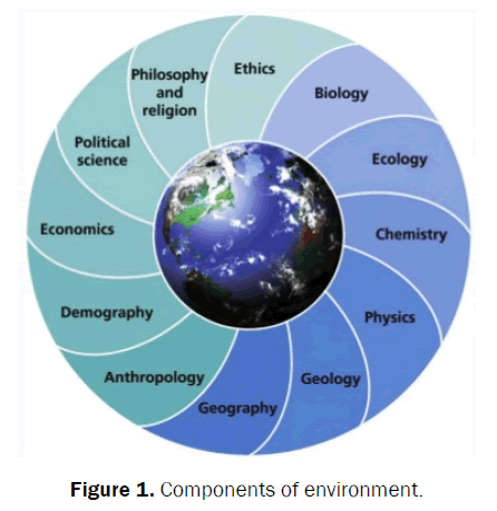 concept of ecology