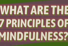 What are the seven principles of mindfulness? principles of mindfulness