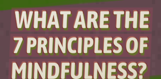 What are the seven principles of mindfulness? principles of mindfulness