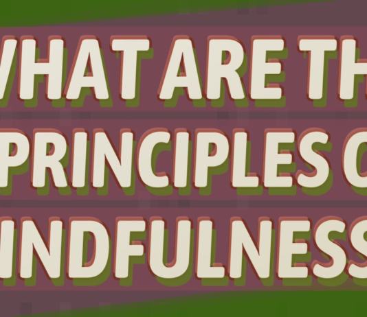 What are the seven principles of mindfulness? principles of mindfulness