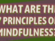 What are the seven principles of mindfulness? principles of mindfulness