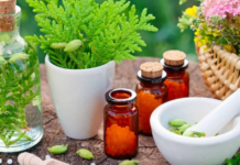 What is the difference between holistic and homeopathic? holistic and homeopathic