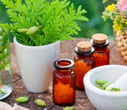 What is the difference between holistic and homeopathic? holistic and homeopathic